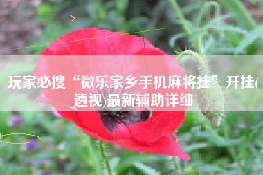 玩家必搜“微乐家乡手机麻将挂”开挂(透视)最新辅助详细