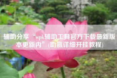 辅助分享“wpk辅助工具官方下载最新版本更新内”(助赢详细开挂教程)