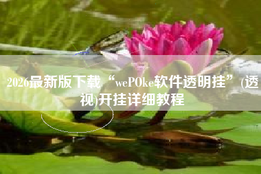 2026最新版下载“wePOke软件透明挂	”(透视)开挂详细教程