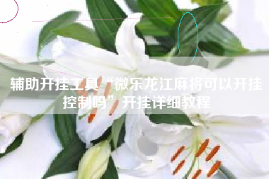 辅助开挂工具“微乐龙江麻将可以开挂控制吗	”开挂详细教程