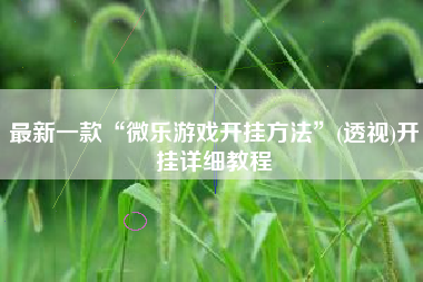 最新一款“微乐游戏开挂方法”(透视)开挂详细教程