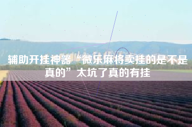 辅助开挂神器“微乐麻将卖挂的是不是真的	”太坑了真的有挂
