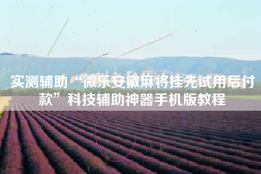 实测辅助“微乐安徽麻将挂先试用后付款	”科技辅助神器手机版教程