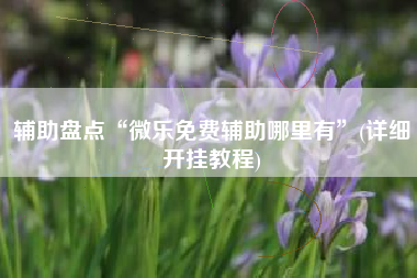 辅助盘点“微乐免费辅助哪里有”(详细开挂教程)
