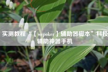 实测教程“【wepoker】辅助器脚本”科技辅助神器手机