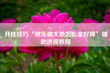 开挂技巧“微乐锄大地怎么拿好牌”辅助透视教程