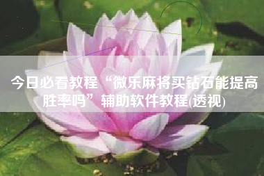 今日必看教程“微乐麻将买钻石能提高胜率吗”辅助软件教程(透视)