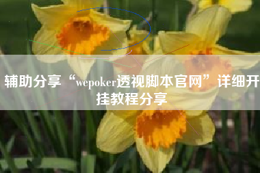 辅助分享“wepoker透视脚本官网	”详细开挂教程分享