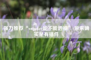 强力推荐“wepoker能不能透视	”(原来确实是有插件