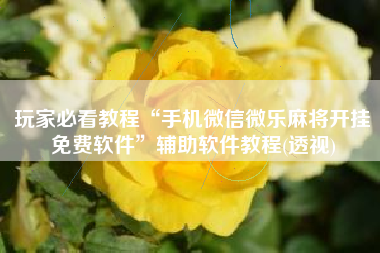 玩家必看教程“手机微信微乐麻将开挂免费软件”辅助软件教程(透视)