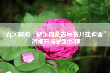 真实辅助“微乐内蒙古麻将开挂神器	”透视开挂辅助教程