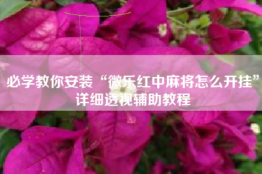必学教你安装“微乐红中麻将怎么开挂”详细透视辅助教程