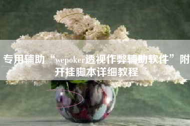 专用辅助“wepoker透视作弊辅助软件	”附开挂脚本详细教程