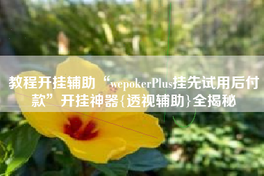 教程开挂辅助“wepokerPlus挂先试用后付款	”开挂神器{透视辅助}全揭秘
