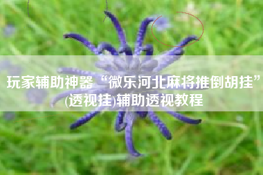 玩家辅助神器“微乐河北麻将推倒胡挂”(透视挂)辅助透视教程