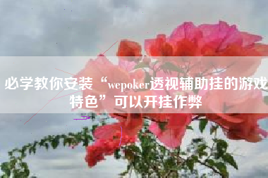 必学教你安装“wepoker透视辅助挂的游戏特色”可以开挂作弊