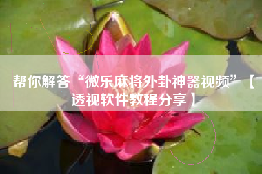 帮你解答“微乐麻将外卦神器视频	”【透视软件教程分享】