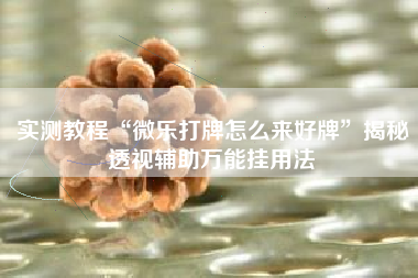 实测教程“微乐打牌怎么来好牌”揭秘透视辅助万能挂用法