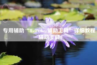 专用辅助“WePOKer辅助工具	”详细教程辅助工具