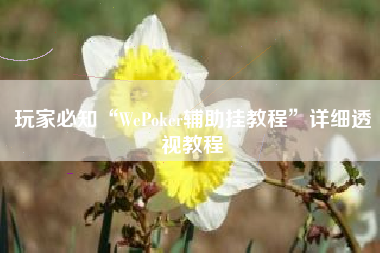 玩家必知“WePoker辅助挂教程”详细透视教程