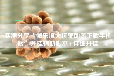 实测分享“微乐填大坑辅助器下载手机版”开挂辅助脚本+详细开挂