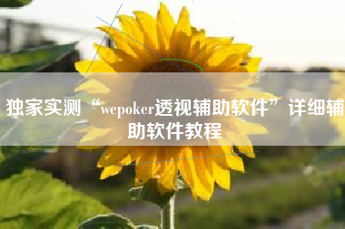 独家实测“wepoker透视辅助软件”详细辅助软件教程