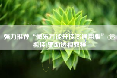 强力推荐“微乐万能开挂器通用版”(透视挂)辅助透视教程