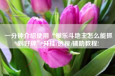 一分钟介绍使用“微乐斗地主怎么能抓到好牌”开挂(透视)辅助教程!