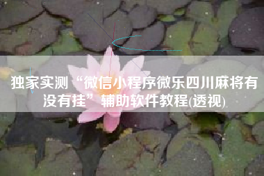 独家实测“微信小程序微乐四川麻将有没有挂”辅助软件教程(透视)