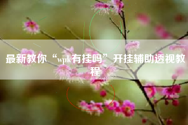 最新教你“wpk有挂吗	”开挂辅助透视教程