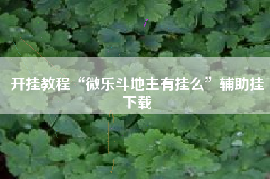开挂教程“微乐斗地主有挂么”辅助挂下载