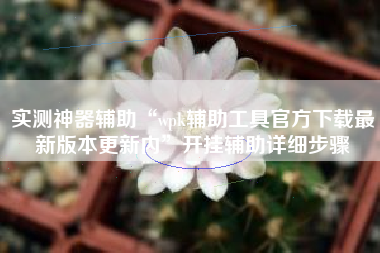 实测神器辅助“wpk辅助工具官方下载最新版本更新内	”开挂辅助详细步骤