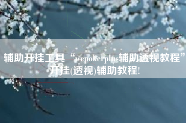 辅助开挂工具“wepokerplus辅助透视教程	”开挂(透视)辅助教程!