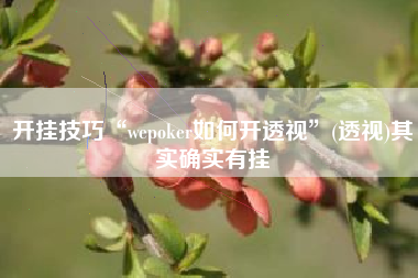 开挂技巧“wepoker如何开透视	”(透视)其实确实有挂