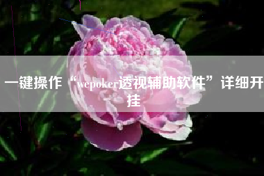 一键操作“wepoker透视辅助软件”详细开挂