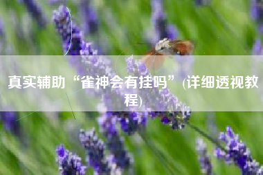 真实辅助“雀神会有挂吗”(详细透视教程)