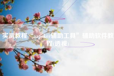 实测教程“aapoker辅助工具	”辅助软件教程(透视)