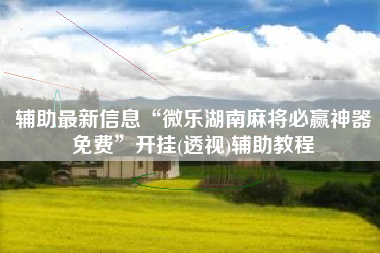 辅助最新信息“微乐湖南麻将必赢神器免费”开挂(透视)辅助教程