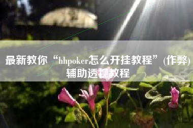 最新教你“hhpoker怎么开挂教程	”(作弊)辅助透视教程