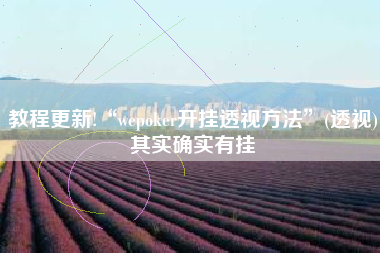 教程更新!“wepoker开挂透视方法”(透视)其实确实有挂