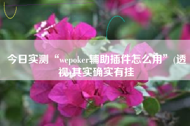 今日实测“wepoker辅助插件怎么用	”(透视)其实确实有挂