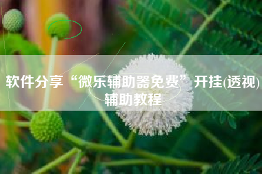 软件分享“微乐辅助器免费”开挂(透视)辅助教程