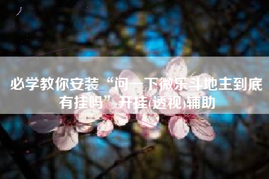 必学教你安装“问一下微乐斗地主到底有挂吗”开挂(透视)辅助