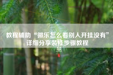 教程辅助“微乐怎么看别人开挂没有”详细分享装挂步骤教程