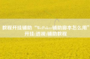 教程开挂辅助“WePoker辅助脚本怎么用	”开挂(透视)辅助教程