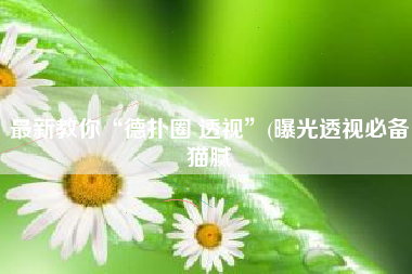 最新教你“德扑圈 透视	”(曝光透视必备猫腻
