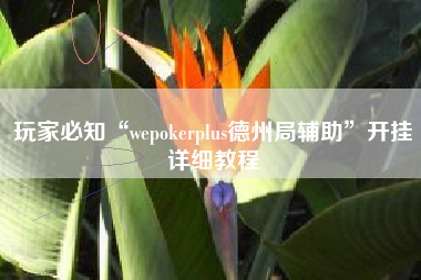 玩家必知“wepokerplus德州局辅助”开挂详细教程