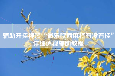 辅助开挂神器“微乐陕西麻将有没有挂”详细透视辅助教程