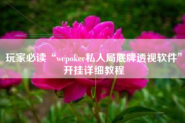 玩家必读“wepoker私人局底牌透视软件”开挂详细教程