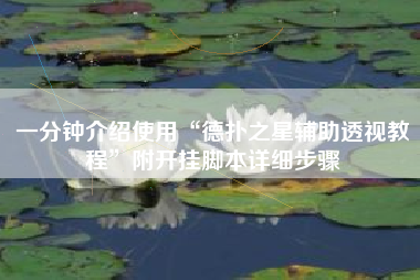 一分钟介绍使用“德扑之星辅助透视教程”附开挂脚本详细步骤